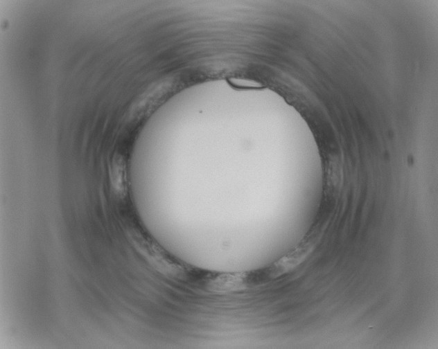 X0000070830138200607071751