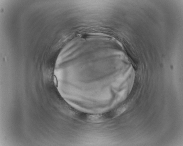 X0000070830139200607071751