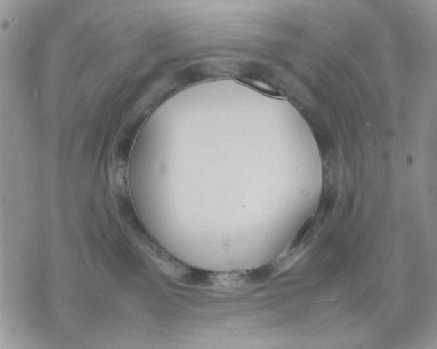 X0000070830141200607071751