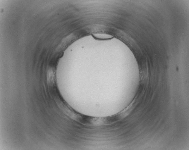 X0000070830142200607071751