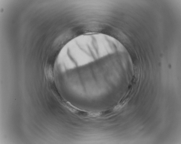 X0000070830143200607071751