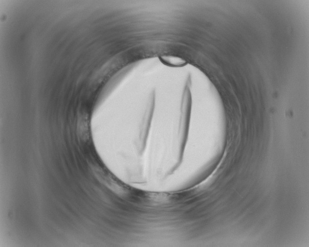 X0000070830144200607071751