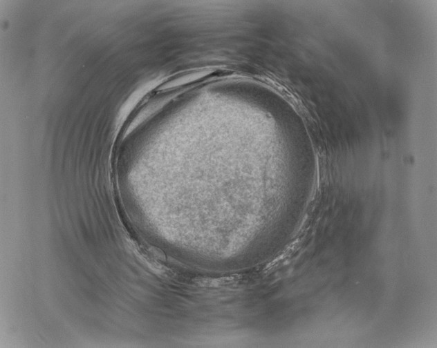 X0000070830147200607071750