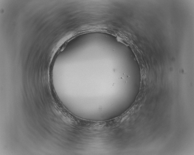 X0000070830148200607071750