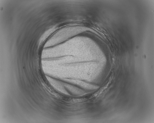 X0000070830149200607071750