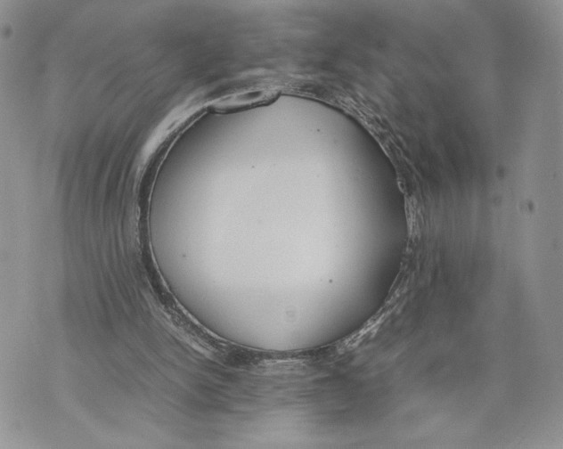 X0000070830150200607071750