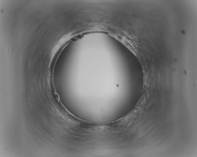 X0000070830152200607071750