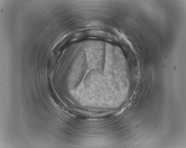 X0000070830154200607071750