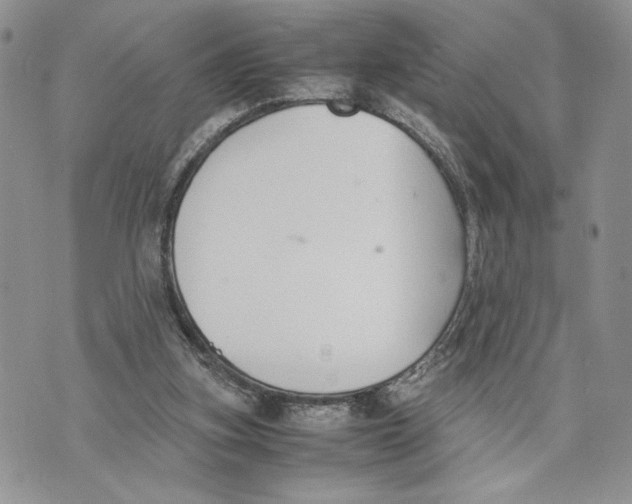 X0000070830155200607071750