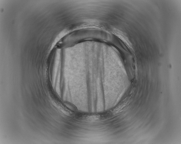 X0000070830156200607071750