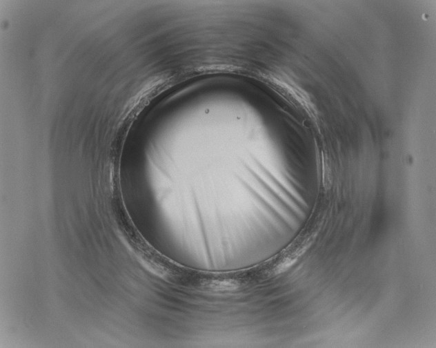 X0000070830157200607071750