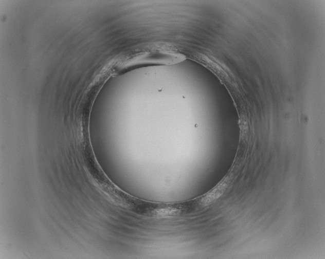 X0000070830158200607071750