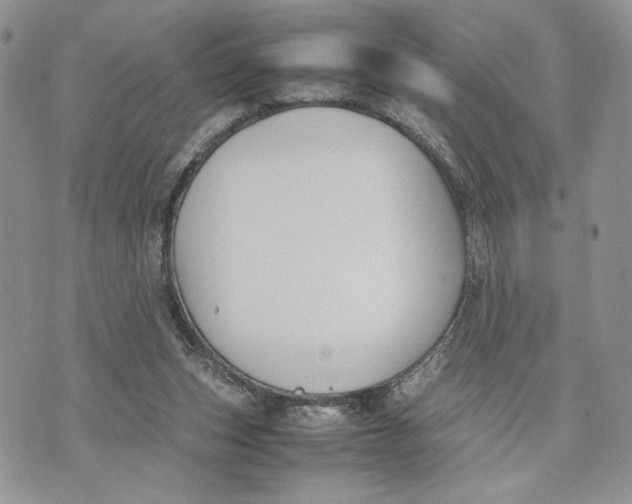 X0000070830159200607071750