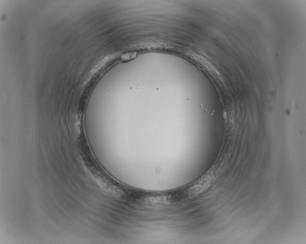 X0000070830160200607071750