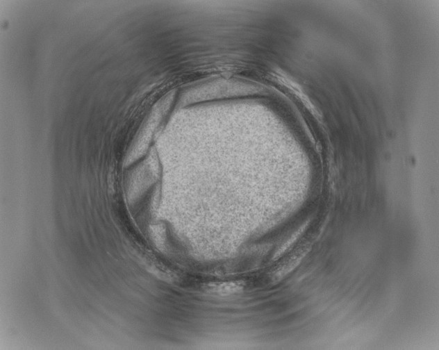 X0000070830161200607071750