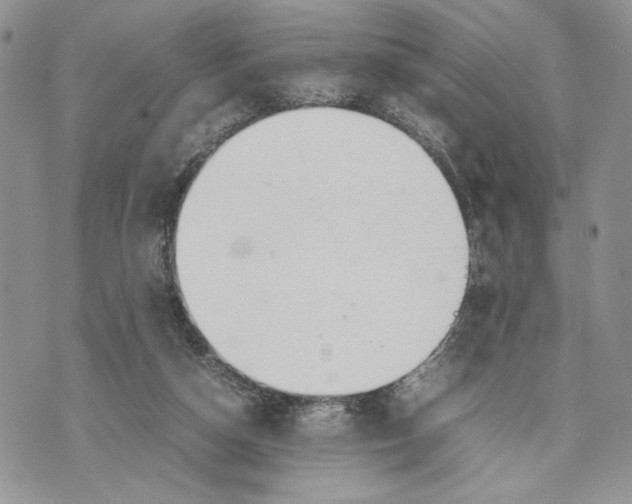 X0000070830162200607071750