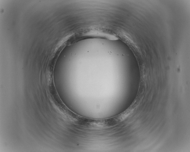 X0000070830164200607071750