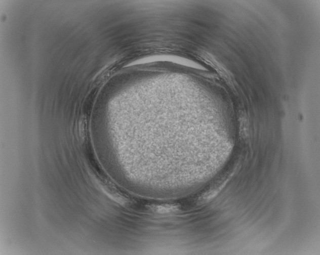 X0000070830165200607071750