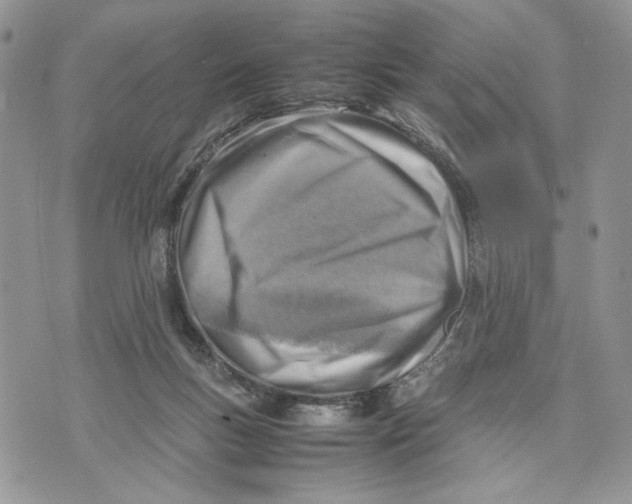 X0000070830167200607071750