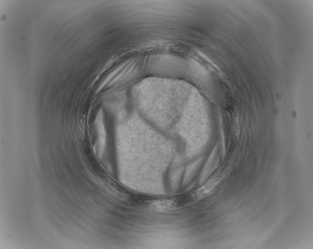 X0000070830168200607071750