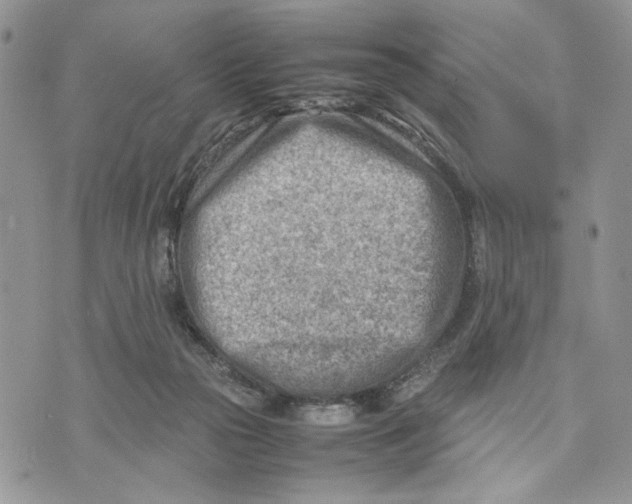 X0000070830169200607071750