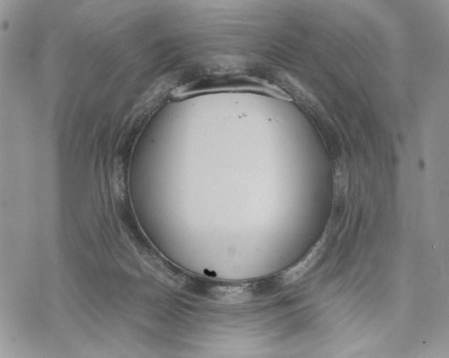 X0000070830170200607071750