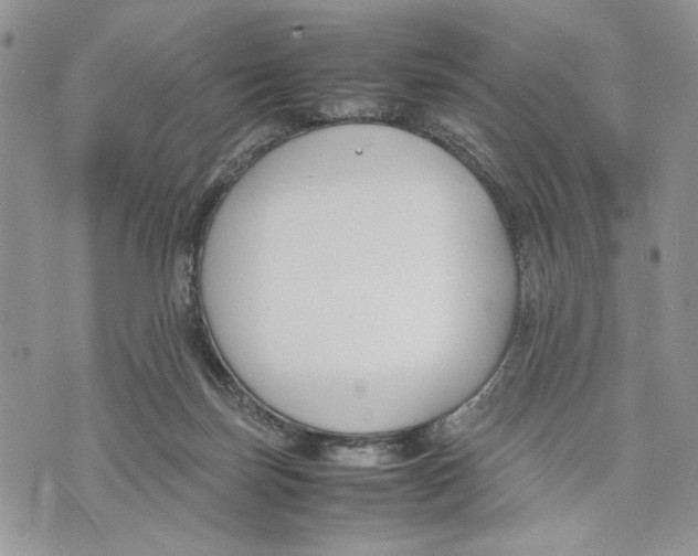 X0000070830171200607071750