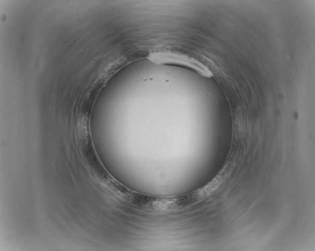 X0000070830172200607071750