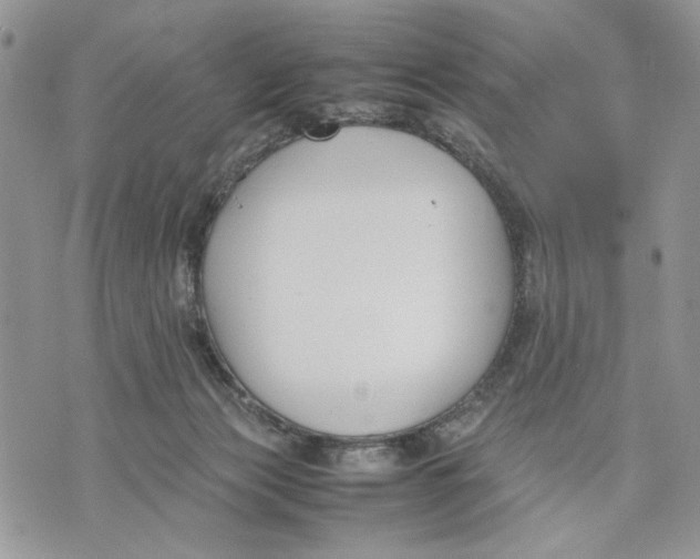 X0000070830173200607071750