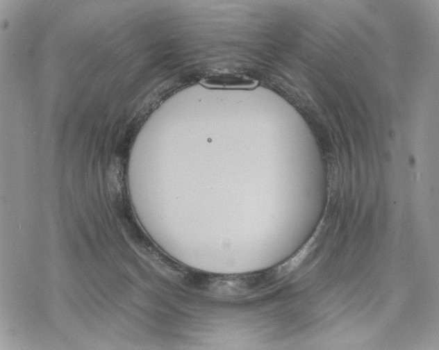 X0000070830174200607071750