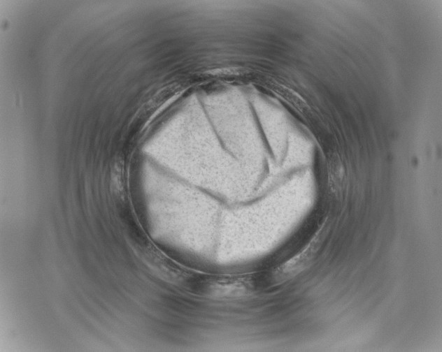 X0000070830175200607071751