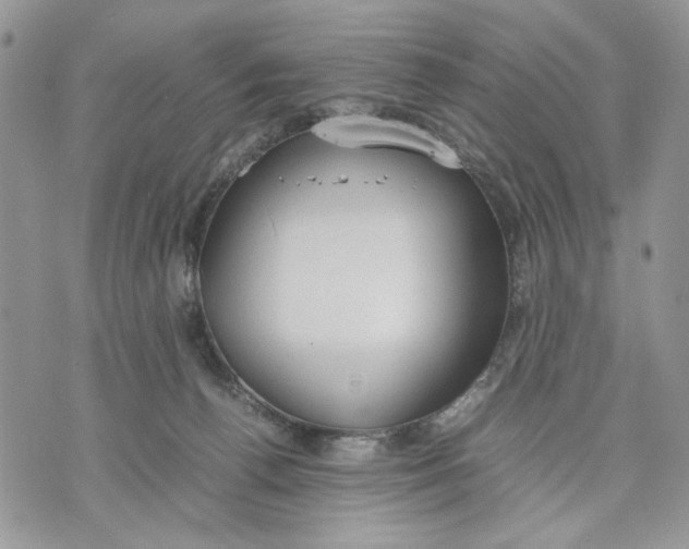 X0000070830176200607071751