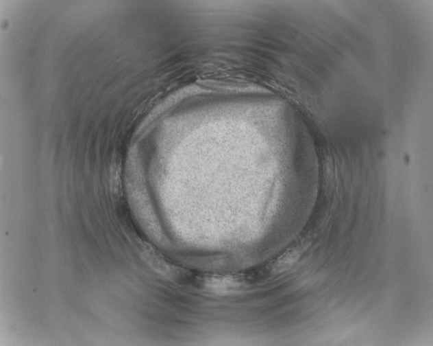 X0000070830177200607071751