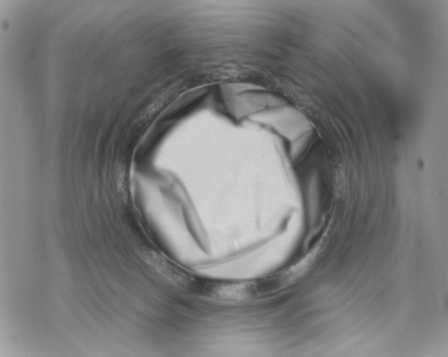 X0000070830178200607071751