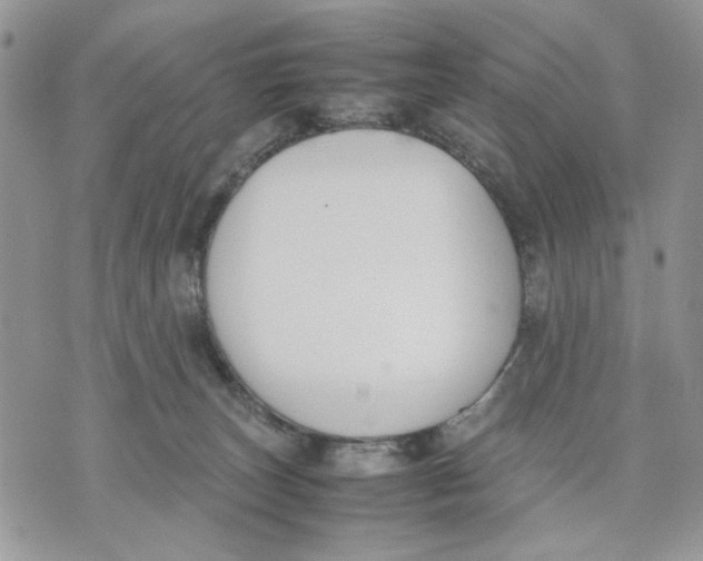 X0000070830179200607071751