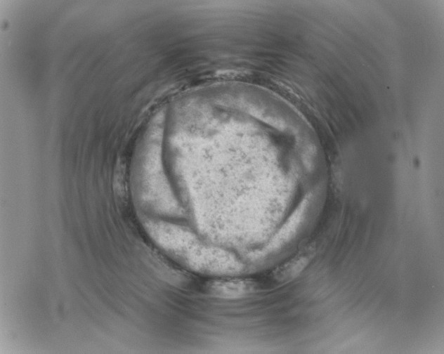 X0000070830181200607071751