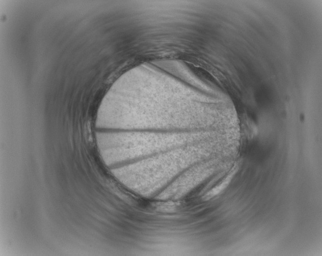 X0000070830182200607071751