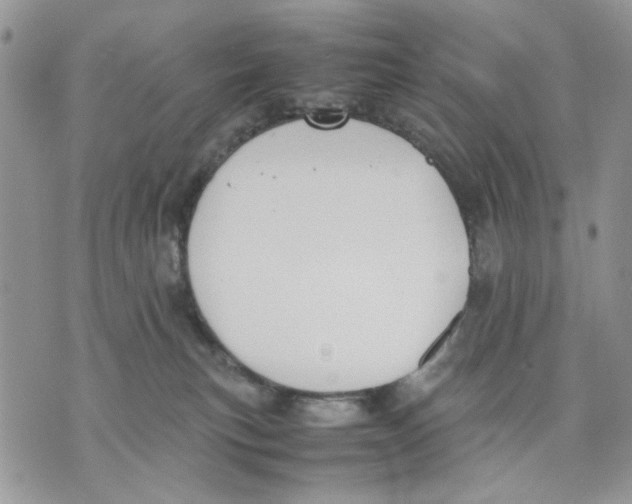 X0000070830183200607071751