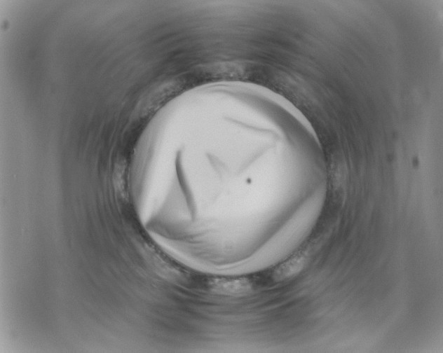 X0000070830185200607071751