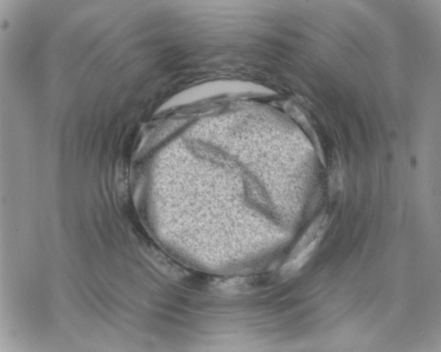 X0000070830186200607071751