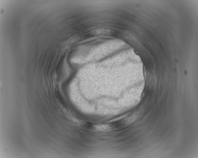 X0000070830189200607071751