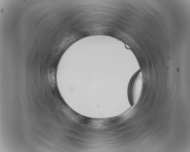 X0000070830190200607071751