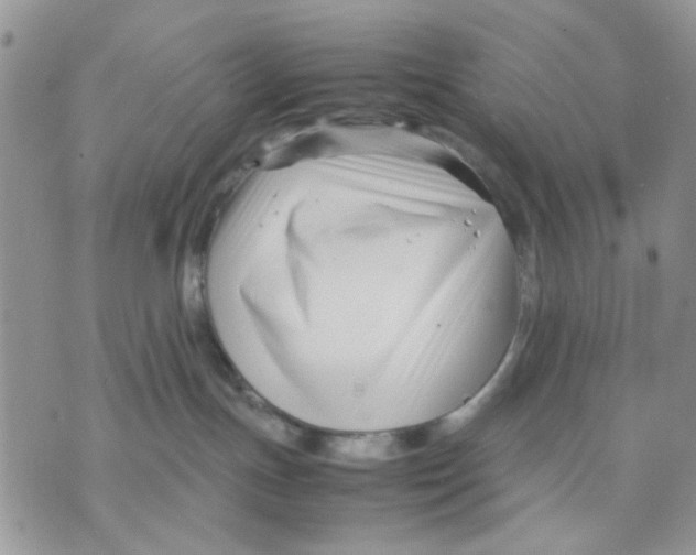 X0000070830191200607071751