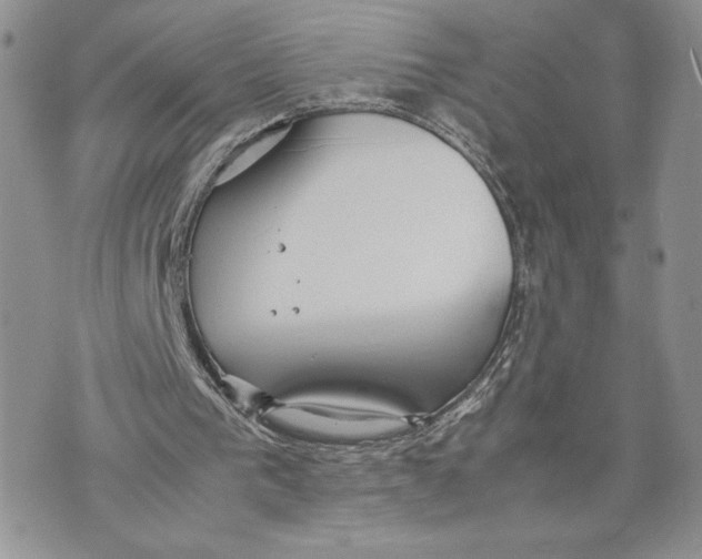 X0000070830193200607071750