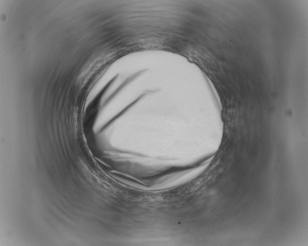 X0000070830194200607071750