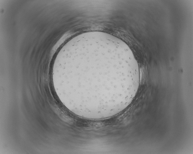 X0000070830195200607071750