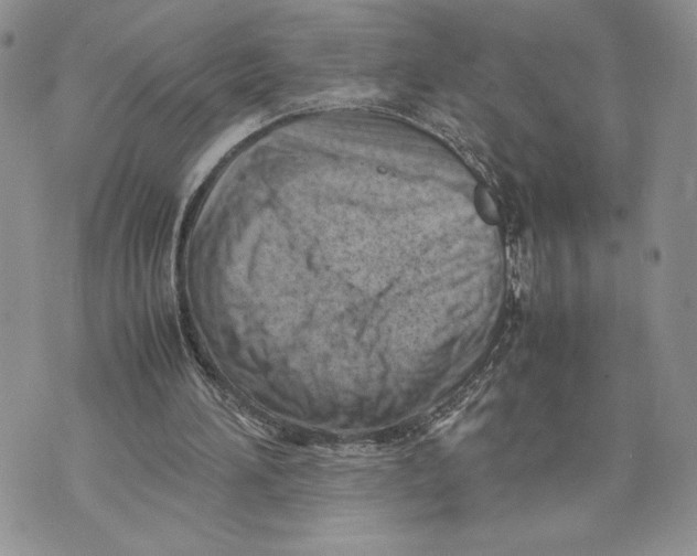 X0000070830196200607071750