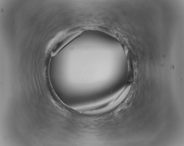 X0000070830197200607071750