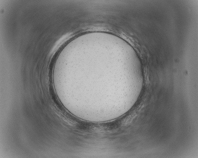 X0000070830199200607071750