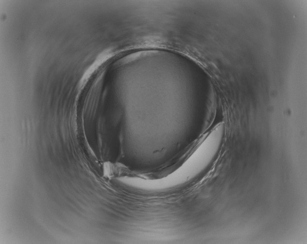 X0000070830200200607071750